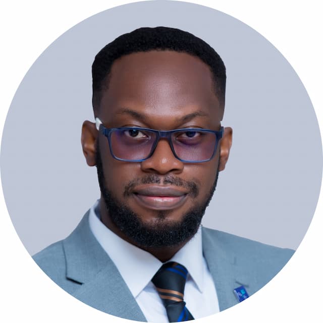 Non-Executive Director image